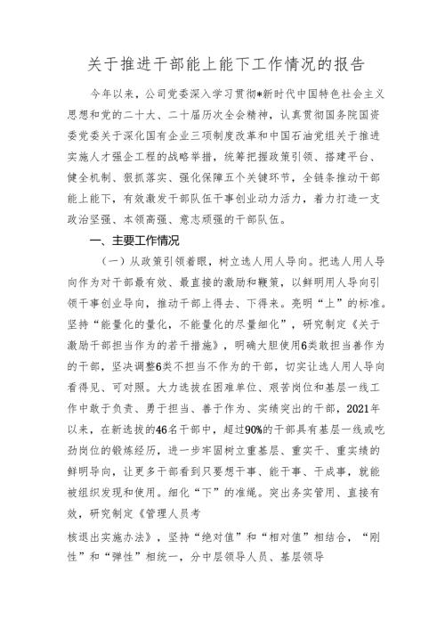 国企公司推进干部能上能下工作情况总结报告.docx