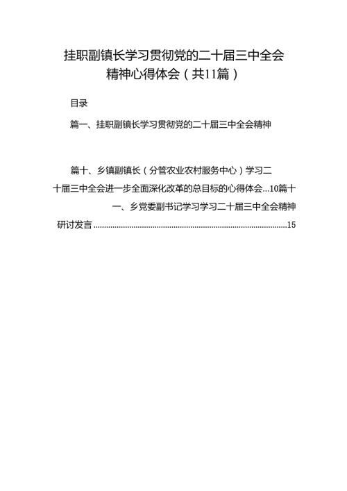 （11篇）挂职副镇长学习贯彻党的二十届三中全会精神心得体会（详细版）.docx