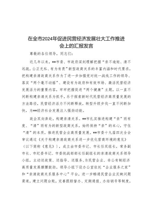 在全市2024年促进民营经济发展壮大工作推进会上的汇报发言.docx