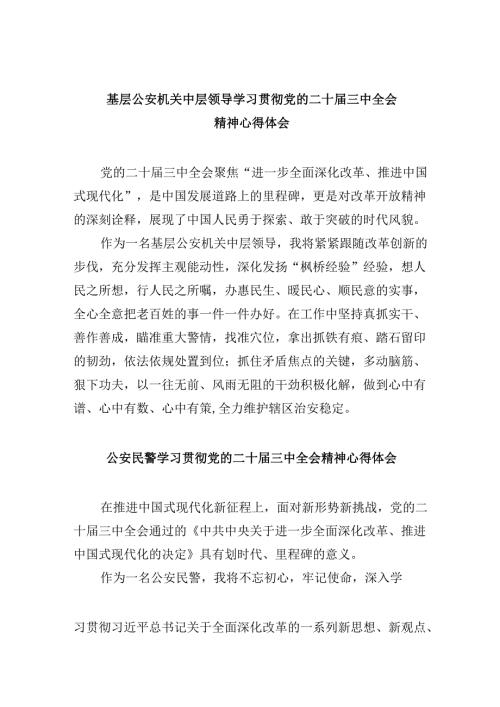 （11篇）基层公安机关中层领导学习贯彻党的二十届三中全会精神心得体会（精选）.docx