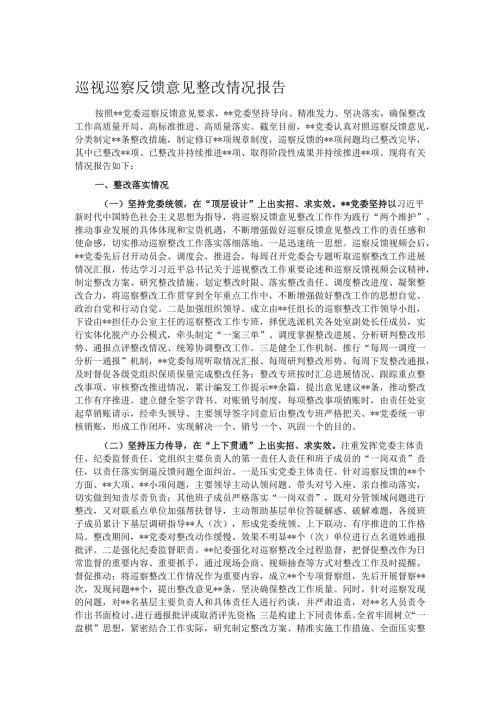 巡视巡察反馈意见整改情况报告.docx