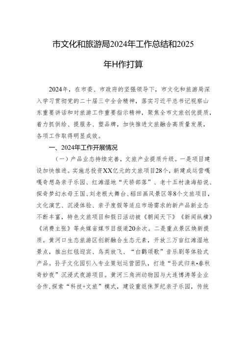 市文化和旅游局2024年工作总结和2025年工作打算.docx