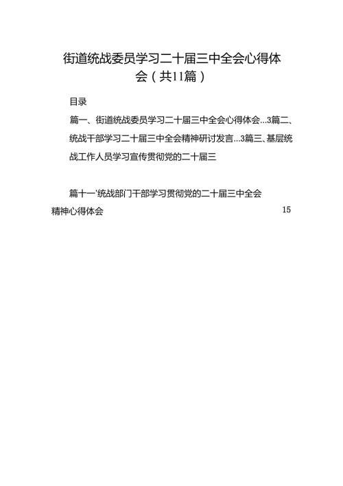 （11篇）街道统战委员学习二十届三中全会心得体会（精选）.docx