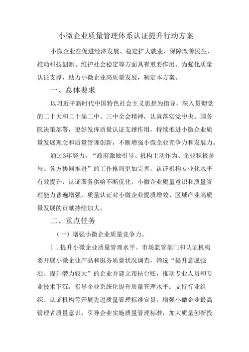 2024.11小微企业质量管理体系认证提升行动方案.docx