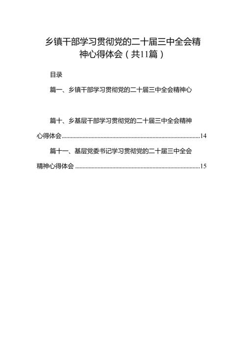 （11篇）乡镇干部学习贯彻党的二十届三中全会精神心得体会集锦.docx