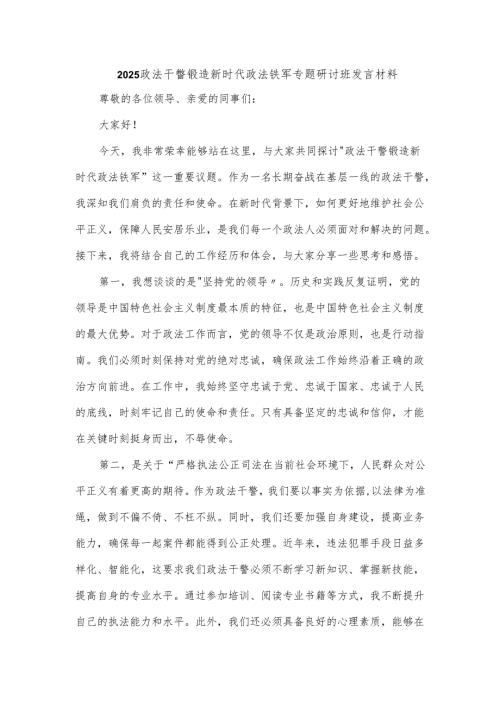 2025政法干警锻造新时代政法铁军专题研讨班发言材料.docx