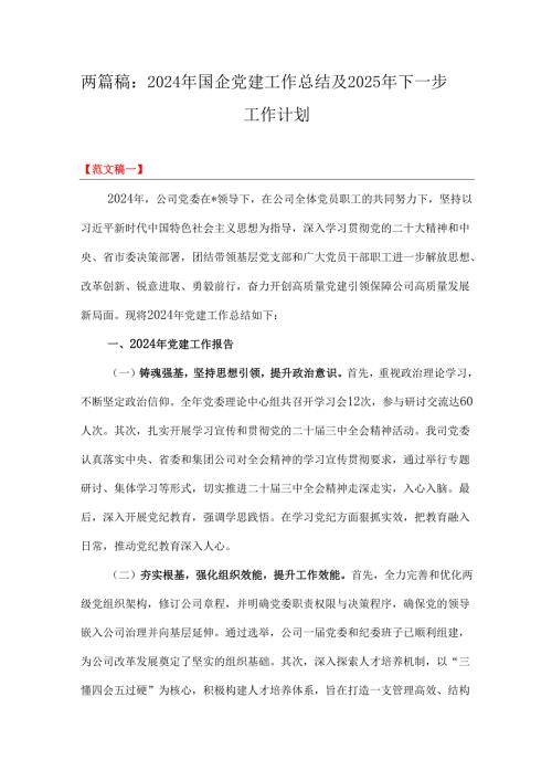 两篇稿：2024年国企党建工作总结及2025年下一步工作计划.docx