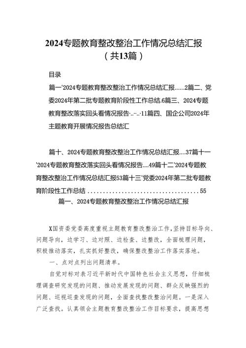 专题教育整改整治工作情况总结汇报13篇（完整版）.docx