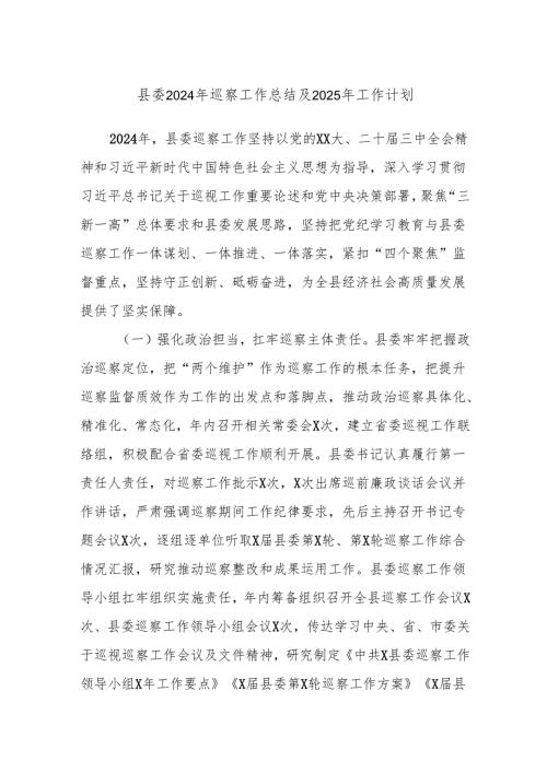 县委2024年巡察工作总结及2025年工作计划.docx