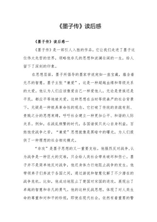《墨子传》读后感.docx