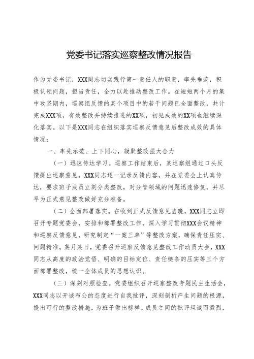 党委书记落实巡察整改情况报告.docx