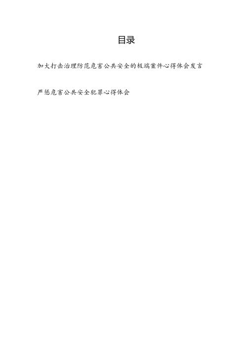 2025严惩危害公共安全犯罪心得体会研讨发言2篇.docx