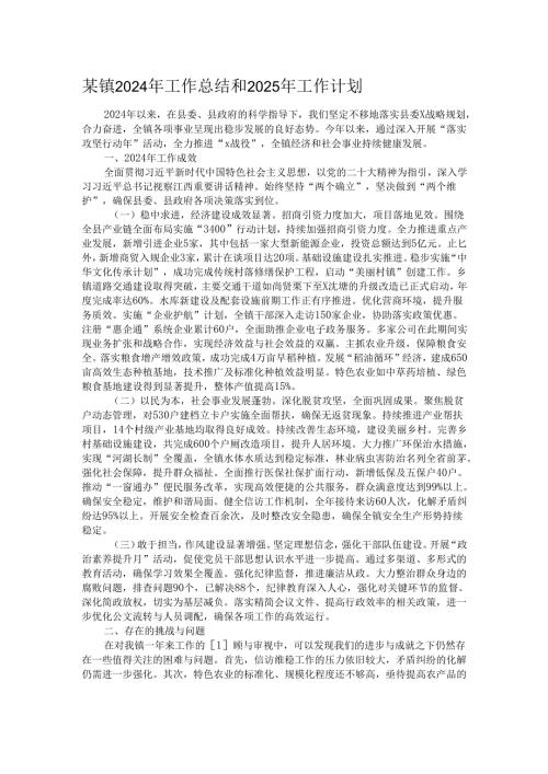 某镇2024年工作总结和2025年工作计划.docx