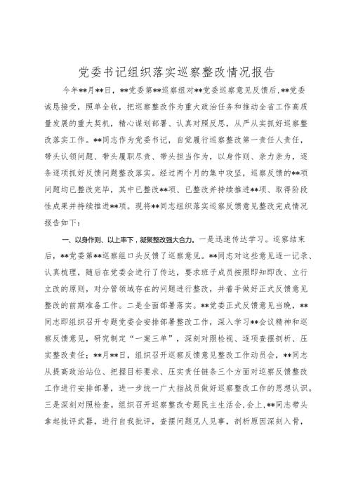 党委书记组织落实巡察整改情况报告2024-2025.docx
