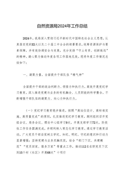 工作总结：20241127自然资源局2024年工作总结.docx