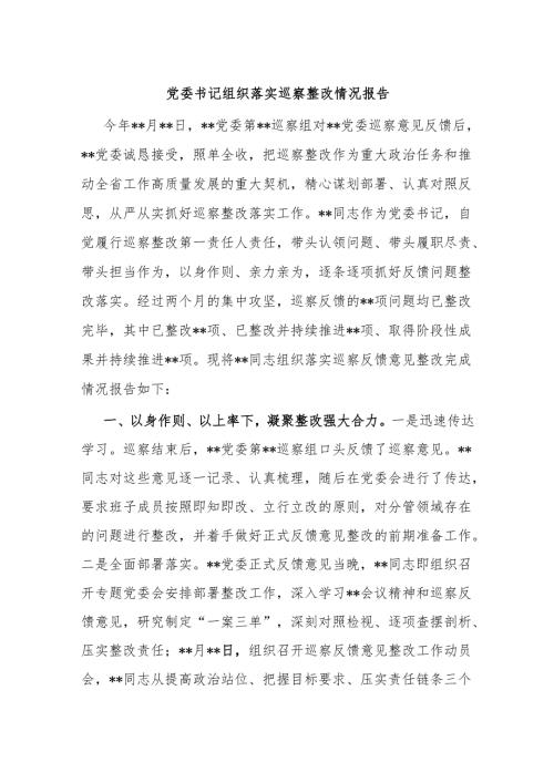 党委书记组织落实巡察整改情况报告 - 副本.docx