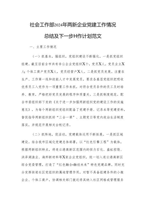 社会工作部2024年两新企业党建工作情况总结及下一步工作计划范文.docx