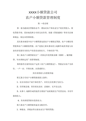 小额贷款公司农户小额贷款管理制度.docx