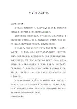 岳阳楼记读后感.docx