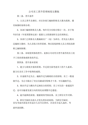 公司员工晋升管理制度完整版范文.docx