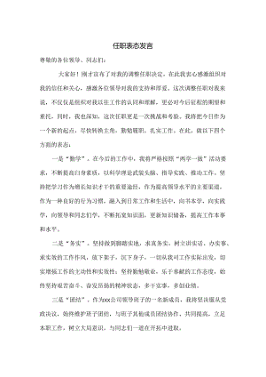 任职表态发言范文.docx