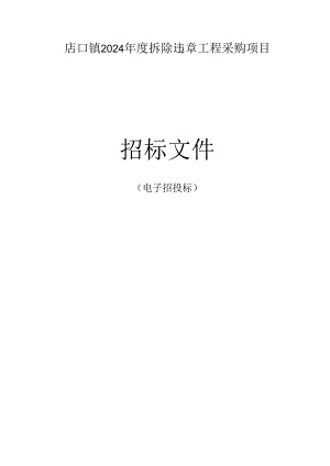 拆除违章工程采购项目招标文件.docx