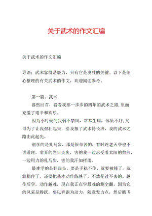 关于武术的作文汇编.docx