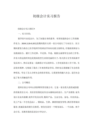 初级会计实习报告.docx