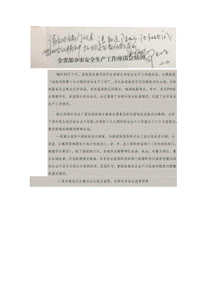 陆市长在全省部分市安全生产工作座谈会精神上的批示.docx