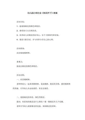 幼儿园小班社会《桃花开了》教案.docx