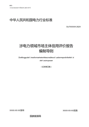 《涉电力领域市场主体信用评价报告编制导则》.docx