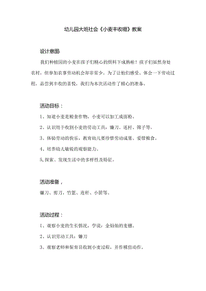 幼儿园大班社会《小麦丰收啦》教案.docx