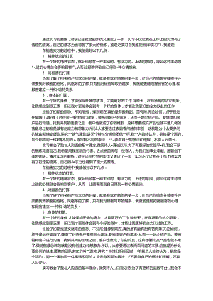 优秀销售试用期自我鉴定 3侧.docx