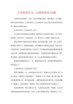 小考优秀作文：自制饮料范文3篇.docx