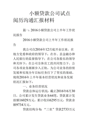 小额贷款公司试点经验交流汇报材料.docx