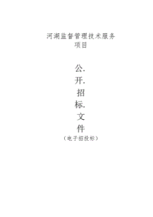 河湖监督管理技术服务项目招标文件.docx