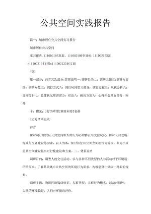 公共空间实践报告.docx