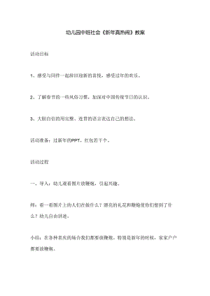 幼儿园中班社会《新年真热闹》教案.docx