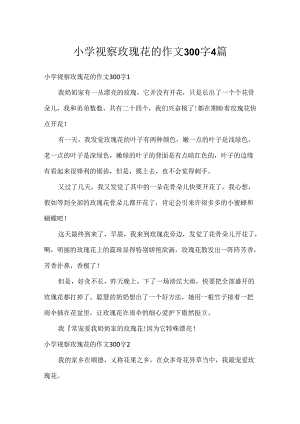小学观察玫瑰花的作文300字4篇.docx