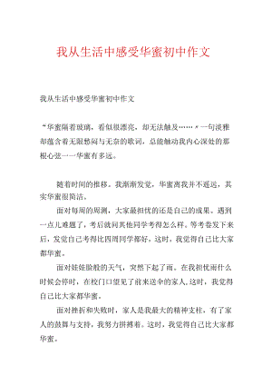 我从生活中感受幸福初中作文.docx