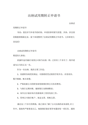 出纳试用期转正申请书.docx