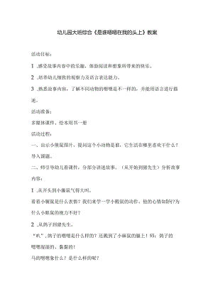 幼儿园大班综合《是谁嗯嗯在我的头上》教案.docx
