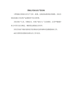 营销公司安全生产责任制.docx