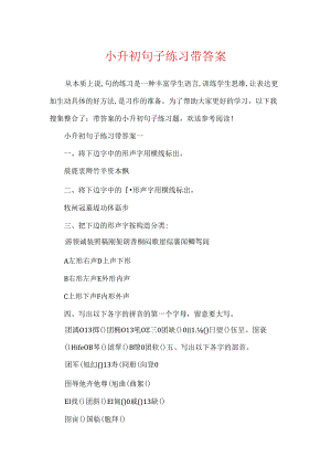 小升初句子练习带答案.docx