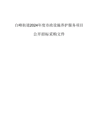 市政设施养护服务项目招标文件.docx
