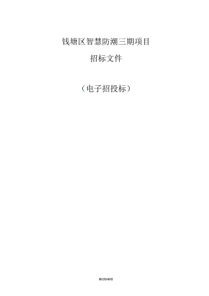 智慧防潮三期项目招标文件.docx