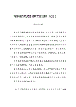 青海省自然资源督察工作规则（印发）.docx