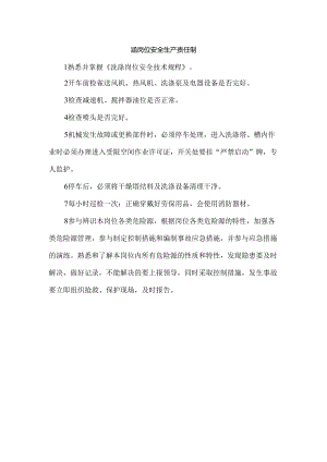 洗涤岗位安全生产责任制.docx
