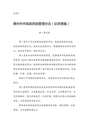 惠州市市级政府投资管理办法（征求意见稿）.docx