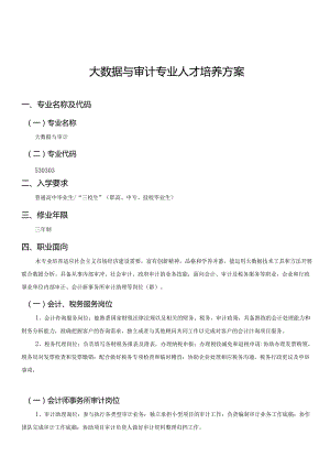 职业技术学校大数据与审计专业人才培养方案.docx